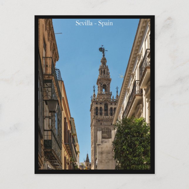 Sevilla City, Spain Postcard (Front)