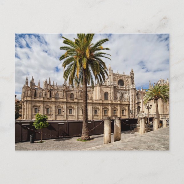 Seville Cathedral in Spain Postcard (Front)