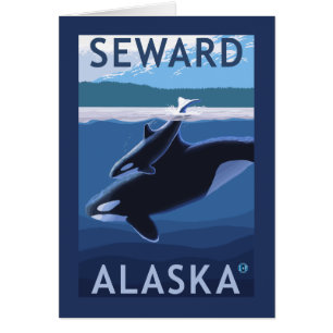 Seward, AlaskaOrca and Calf Scene