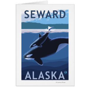 Seward, AlaskaOrca and Calf Scene