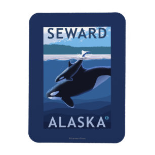Seward, AlaskaOrca and Calf Scene Magnet