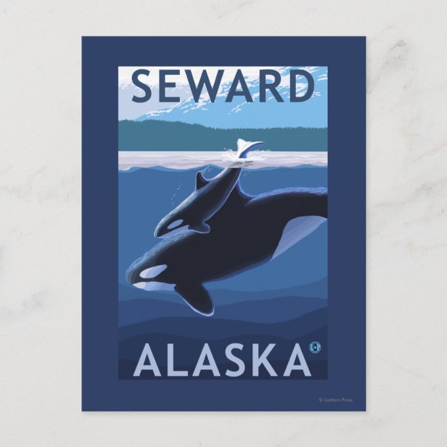 Seward, AlaskaOrca and Calf Scene Postcard (Front)