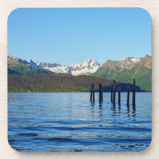 Seward Beauty Coaster (Front)