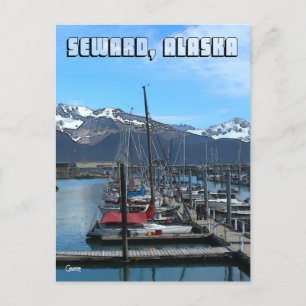 Seward Boat Harbour 1 - Postcard