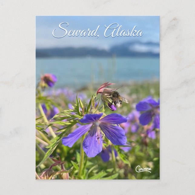 Seward Geranium - Postcard (Front)