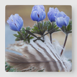 Seward Peninsula, Alaska, Arctic Wildflowers Square Wall Clock