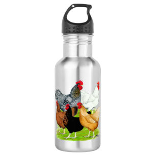 Sex-linked Chickens Quintet 532 Ml Water Bottle