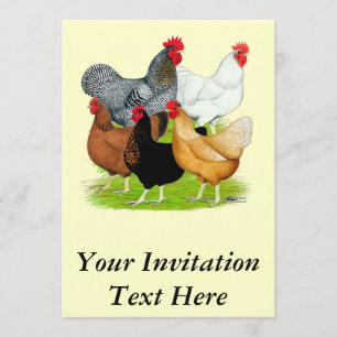 Sex-linked Chickens Quintet Invitation
