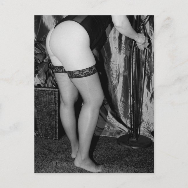 Sexy fish nets photo postcard (Front)