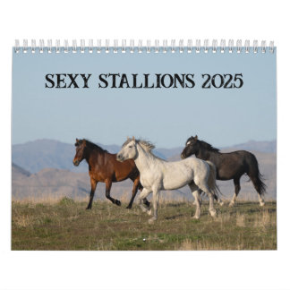 Sexy Stallions 2025 Calendar