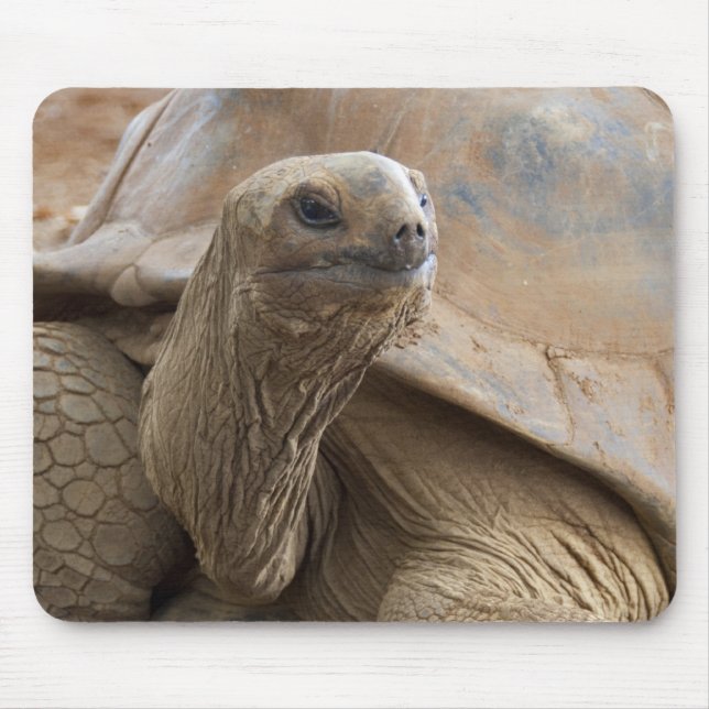 Seychelle Aldabran land tortoise Mouse Mat (Front)