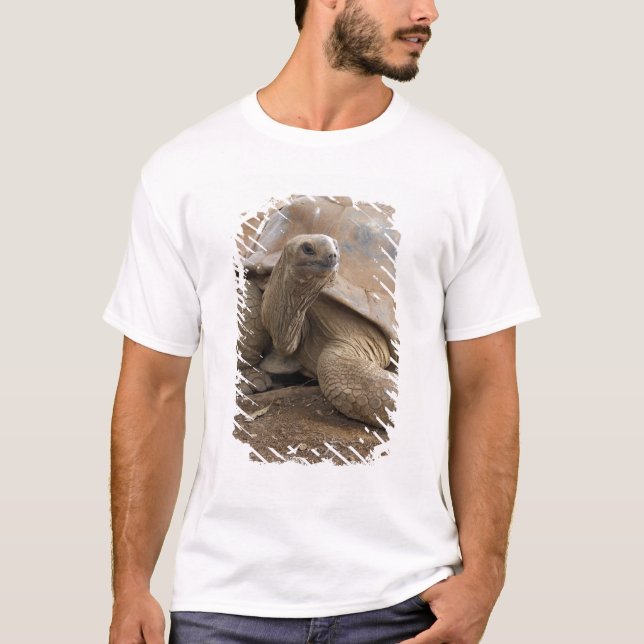 Seychelle Aldabran land tortoise T-Shirt (Front)