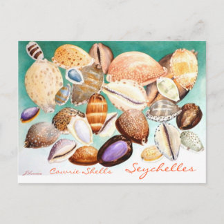 Seychelles Cowrie Shells Postcard