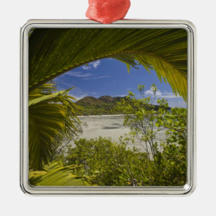 Seychelles, Curieuse Island, Laraie Bay Metal Tree Decoration