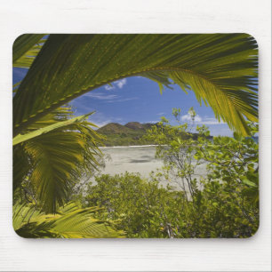 Seychelles, Curieuse Island, Laraie Bay Mouse Mat