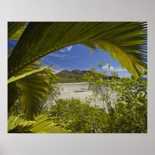 Seychelles, Curieuse Island, Laraie Bay Poster