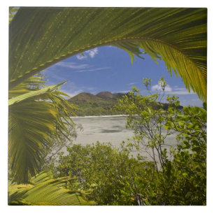 Seychelles, Curieuse Island, Laraie Bay Tile