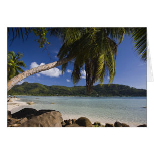 Seychelles, Mahe Island, Anse a la Mouche