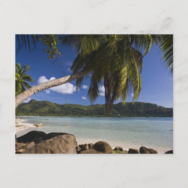 Seychelles, Mahe Island, Anse a la Mouche Postcard (Front)