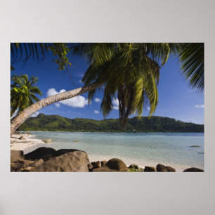 Seychelles, Mahe Island, Anse a la Mouche Poster