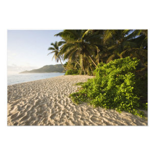 Seychelles, Mahe Island, Anse Marie-Louise Photo Print
