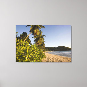 Seychelles, Mahe Island, Anse Takamaka beach, Canvas Print