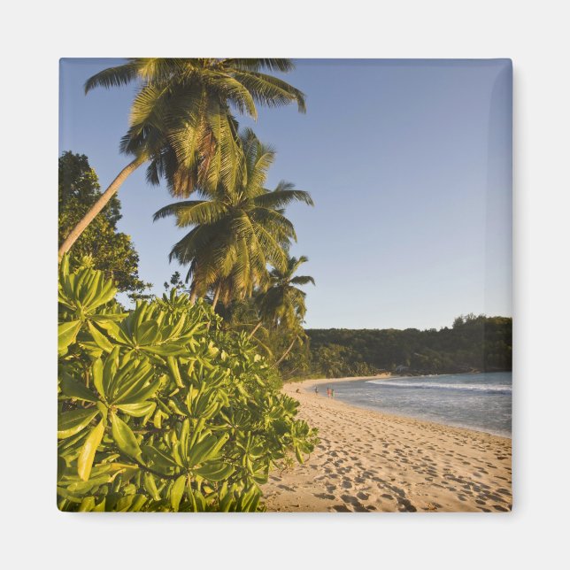 Seychelles, Mahe Island, Anse Takamaka beach, Magnet (Front)