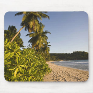 Seychelles, Mahe Island, Anse Takamaka beach, Mouse Mat