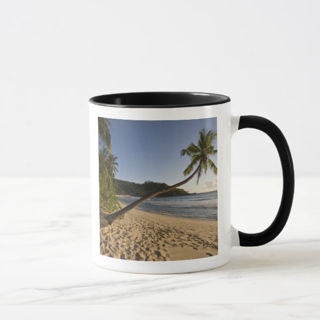 Seychelles, Mahe Island, Anse Takamaka beach, Mug (Right)
