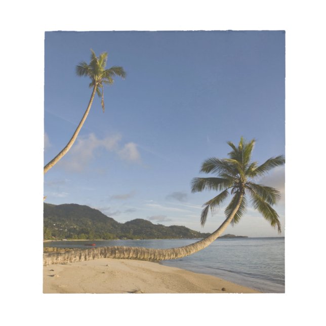 Seychelles, Mahe Island, horizontal palm, Notepad (Front)
