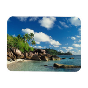 Seychelles, Mahe Island, Lazare Bay Magnet