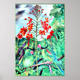 Seychelles Parakeet, Psittacula wardi Poster