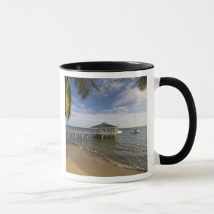 Seychelles, Praslin Island, Anse Bois de Rose, Mug