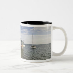 Seychelles, Praslin Island, Anse Bois de Rose, Two-Tone Coffee Mug