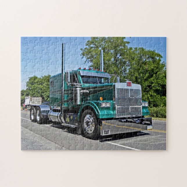 Seyler's Green Marmon Puzzle (Horizontal)