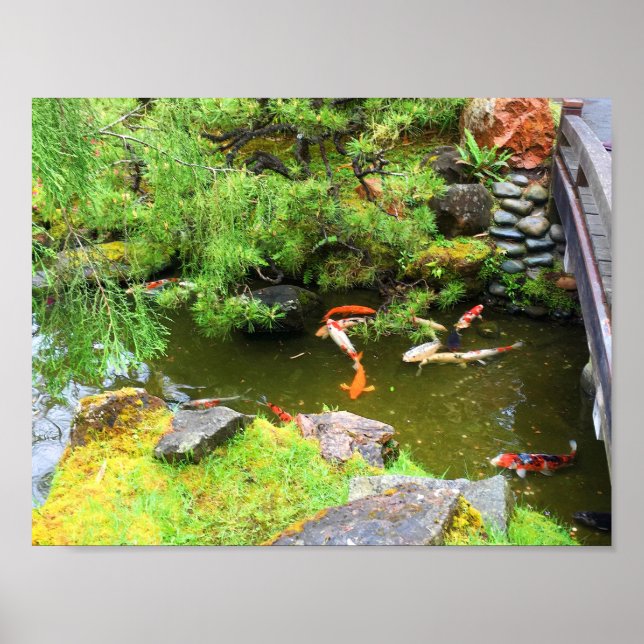 SF Japanese Tea Garden Koi Pond #1 Poster (Front)