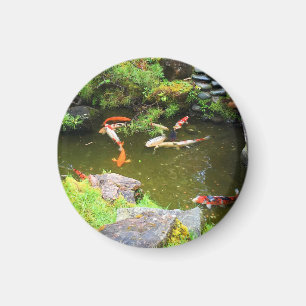 SF Japanese Tea Garden Koi Pond #3 Magnet