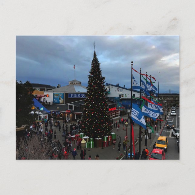 SF Pier 39 Christmas #1 Postcard (Front)