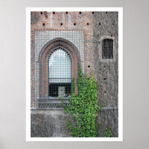 Sforza Window Detail Poster