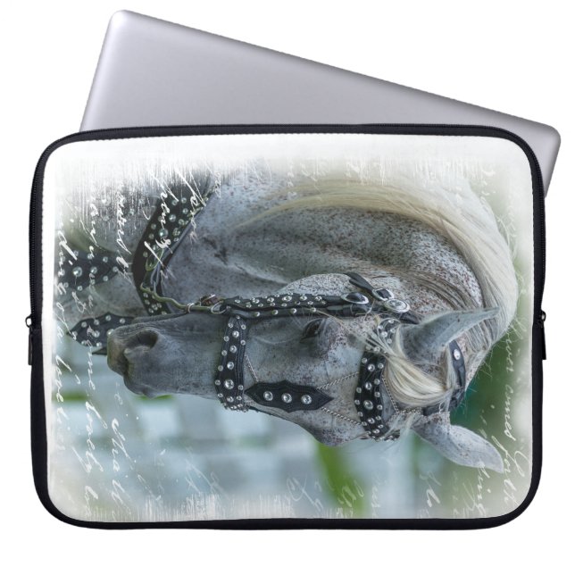 SG Dreams Laptop Sleveve Laptop Sleeve (Front)