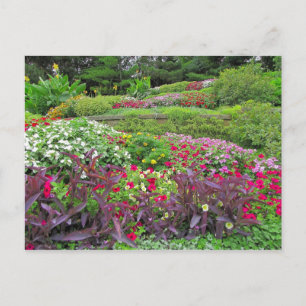 SG Landscape Postcard #40N 040