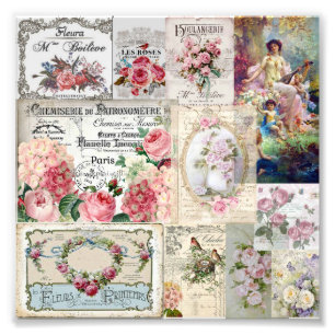 Shabby chic collage,country victorian,decoupage,mo photo print