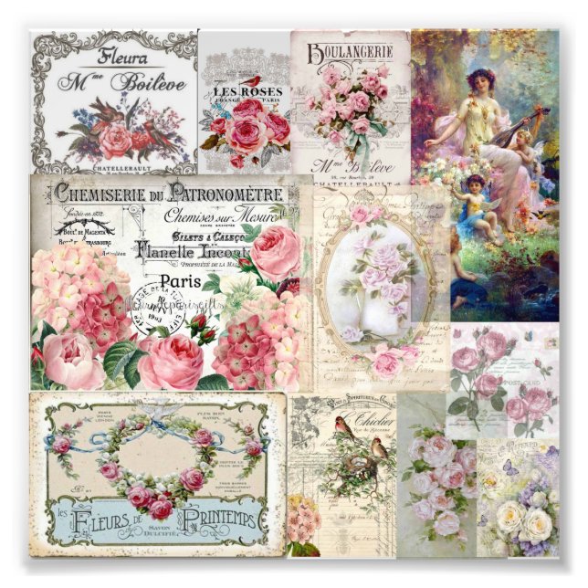Shabby chic collage,country victorian,decoupage,mo photo print (Front)