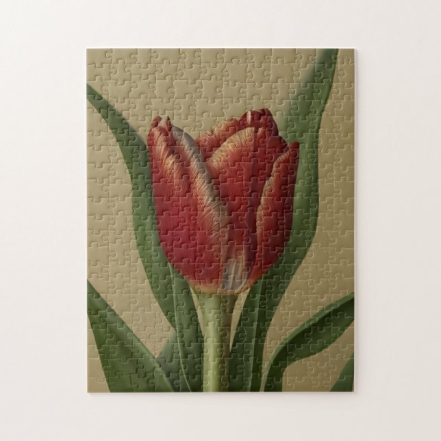 Shabby Chic Lovely  Red Tulip  Jigsaw Puzzle (Vertical)