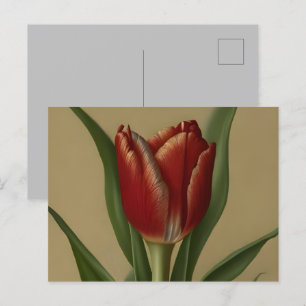 Shabby Chic Lovely  Red Tulip  Postcard