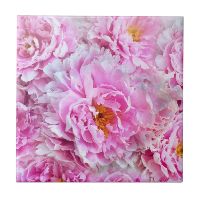 Shabby Chic Pink Pastel Pink Peonies Tile (Front)