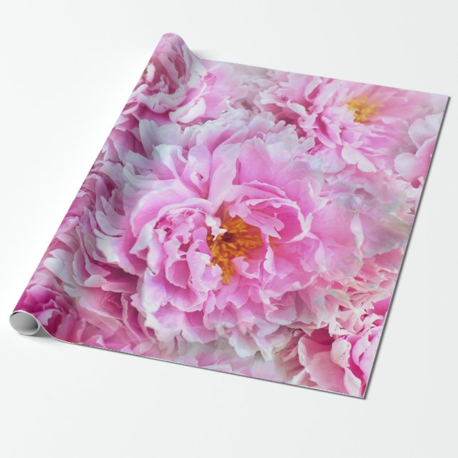 Shabby Chic Pink Pastel Pink Peonies Wrapping Paper (Unrolled)