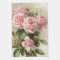 Shabby Chic Pink Victorian Roses