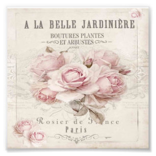 shabby chic,rustic,vintage,floral,collage,country, photo print