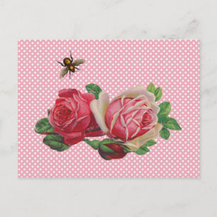 Shabby Roses Postcards
